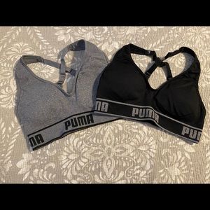 Puma sports bras